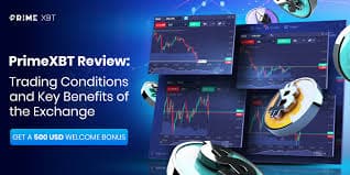 PrimeXBT Copy Trading Your Gateway to Profitable Trading PrimeXBT Copy Trading Your Gateway to Profitable Trading