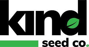Discover the Magic of Purple Haze Seeds Discover the Magic of Purple Haze Seeds