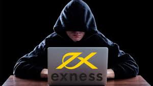 Comprehensive Exness Trading Reviews Insights and Strategies